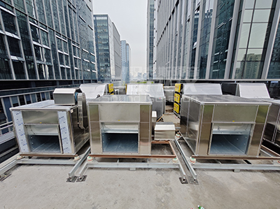 IMG_20241030_110645 IMG_20241030_110645